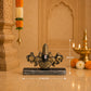Tirupati Balaji Premium Polymarble Idol