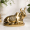 Sacred Nandi Premium Polymarble Idol